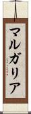 マルガリア Scroll