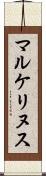 マルケリヌス Scroll
