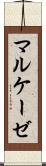 マルケーゼ Scroll