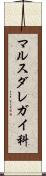 マルスダレガイ科 Scroll