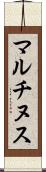 マルチヌス Scroll