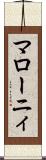 マローニィ Scroll