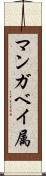 マンガベイ属 Scroll