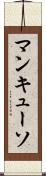 マンキューソ Scroll