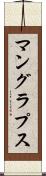 マングラプス Scroll