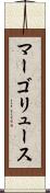 マーゴリュース Scroll