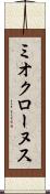 ミオクローヌス Scroll