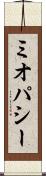 ミオパシー Scroll