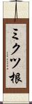 ミクツ根 Scroll