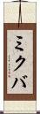ミクバ Scroll