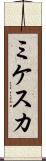 ミケスカ Scroll