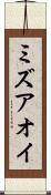 ミズアオイ Scroll