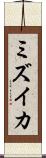 ミズイカ Scroll