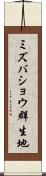 ミズバショウ群生地 Scroll