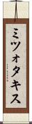 ミツォタキス Scroll
