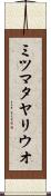 ミツマタヤリウオ Scroll