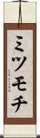 ミツモチ Scroll