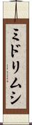 ミドリムシ Scroll