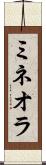 ミネオラ Scroll