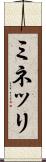 ミネッリ Scroll