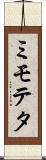 ミモテタ Scroll
