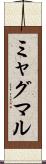 ミャグマル Scroll