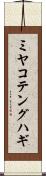 ミヤコテングハギ Scroll