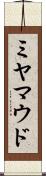ミヤマウド Scroll