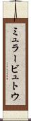 ミュラービュトウ Scroll