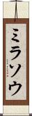 ミラソウ Scroll
