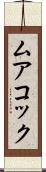 ムアコック Scroll