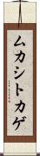 ムカシトカゲ Scroll