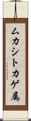 ムカシトカゲ属 Scroll