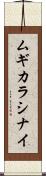 ムギカラシナイ Scroll