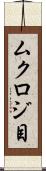 ムクロジ目 Scroll