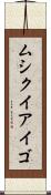 ムシクイアイゴ Scroll