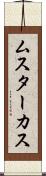 ムスターカス Scroll