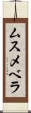 ムスメベラ Scroll