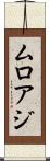 ムロアジ Scroll