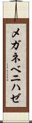 メガネベニハゼ Scroll