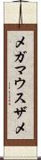 メガマウスザメ Scroll