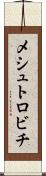メシュトロビチ Scroll