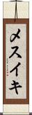 メスイキ Scroll