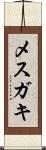 メスガキ Scroll