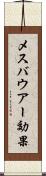 メスバウアー効果 Scroll
