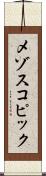 メゾスコピック Scroll