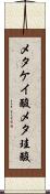 メタケイ酸 Scroll