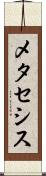 メタセシス Scroll