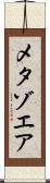 メタゾエア Scroll