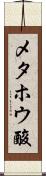 メタホウ酸 Scroll